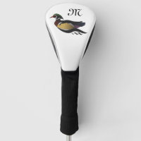 Beautiful Duck