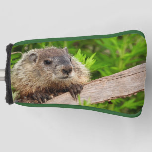 Couvre-club De Golf Bébé adorable Marmotte de fond / marmotte de bois