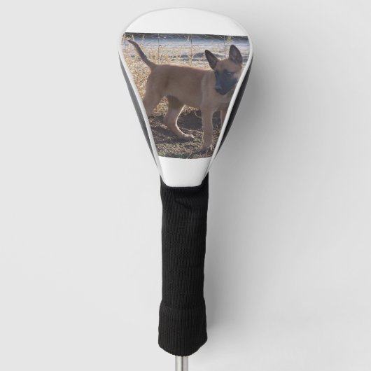 Couvre-club De Golf Belge_Malinois_Puppy complet (Devant)