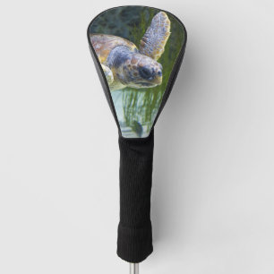 Couvre-club De Golf Belle natation de tortue marine