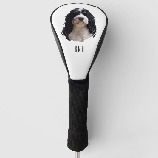 Couvre-club De Golf Bernedoodle (Devant)