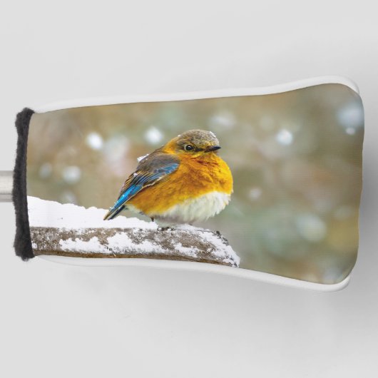 Couvre-club De Golf Bleuet de l'Est en neige - Photo originale (Devant)