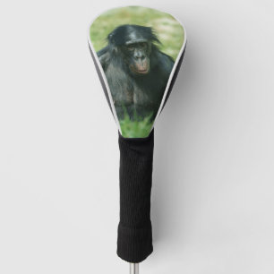 Couvre-club De Golf Bonobo musculaire dans l'herbe