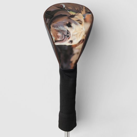 Couvre-club De Golf Bouledogue (Devant)
