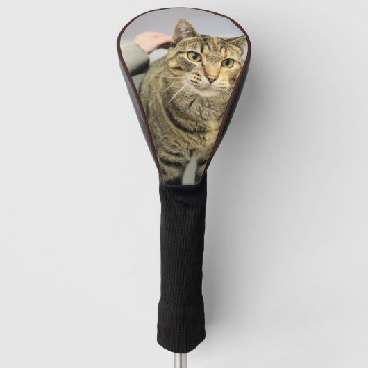 Couvre-club De Golf Cat Golf Head Cover (Devant)