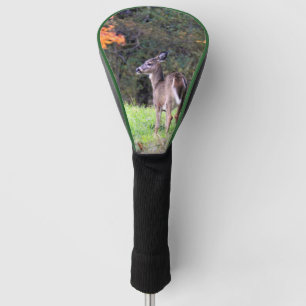 Couvre-club De Golf Cerf à queue blanche près