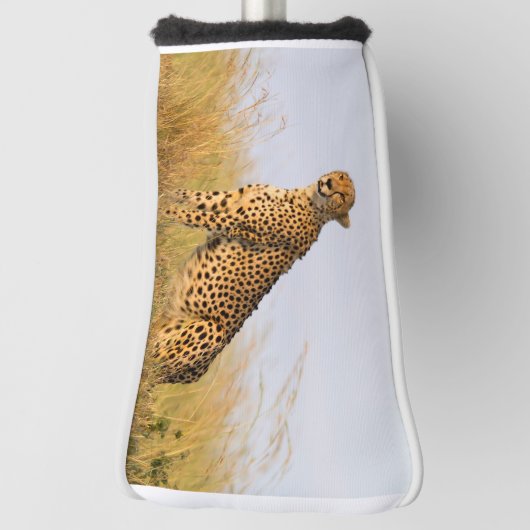Couvre-club De Golf Cheetah animal sauvage Big Cat photo (Tourné à 90°)