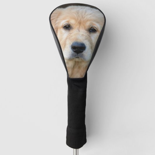 Couvre-club De Golf Chiot Golden Retriever (Devant)