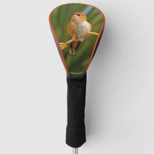 Couvre-club De Golf Colibri roux au repos