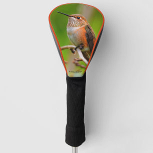 Couvre-club De Golf Colibri roux femelle sur le prunier