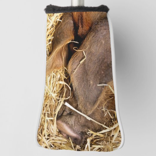 COUVRE-CLUB DE GOLF COUPER (Tourné à 90°)