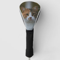 Créez Votre Propre Photo de Chat Personnalisée