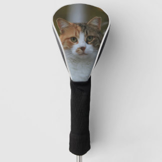 Couvre-club De Golf Créez Votre Propre Photo de Chat Personnalisée