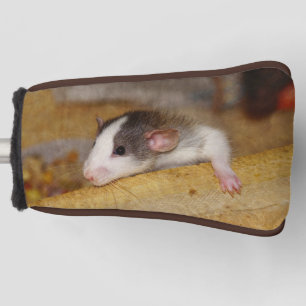 Couvre-club De Golf Cute rat