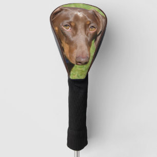 Couvre-club De Golf Dachshund