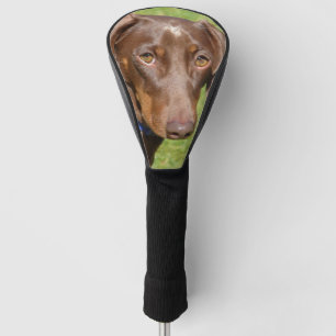 Couvre-club De Golf Dachshund