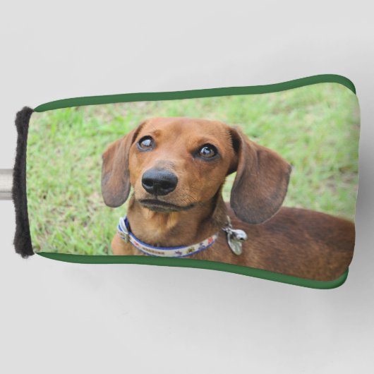 Couvre-club De Golf Dachshund (Devant)