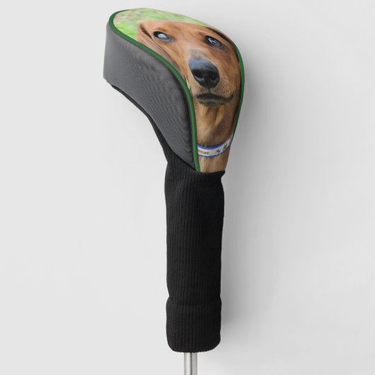 Couvre-club De Golf Dachshund (Incliné)