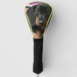 Couvre-club De Golf dachshund-chiot mignon