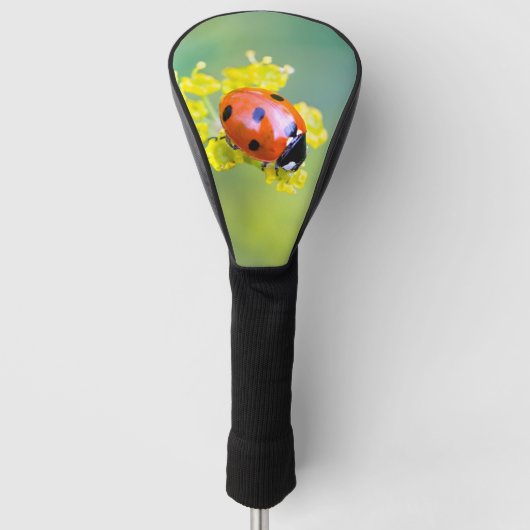 Couvre-club De Golf dame sur le dessus (Devant)