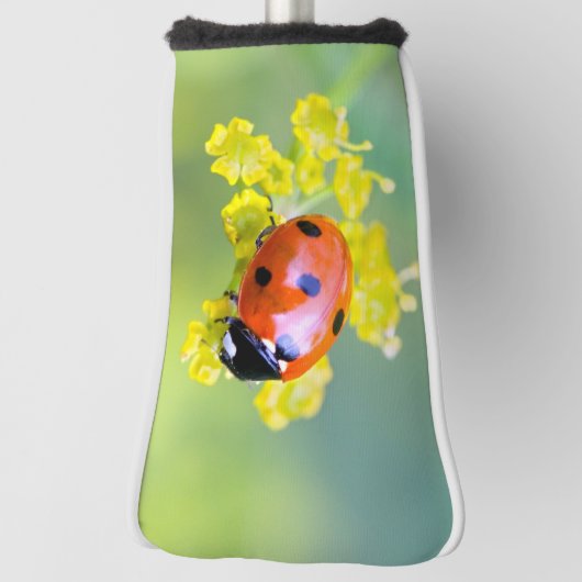 Couvre-club De Golf dame sur le dessus (Tourné à 90°)