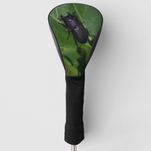 Couvre-club De Golf Dorcus parallelipipedus, le moindre dendroctone du (Devant)