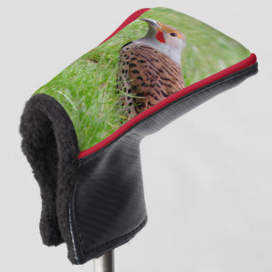 Couvre-club De Golf Éblouissant Pic flamboyant fourrageant dans l'herb