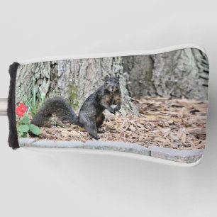 Couvre-club De Golf Écureuil