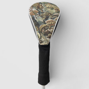 Couvre-club De Golf Ernst Haeckel Art Vintage Reptile Lézard Nature
