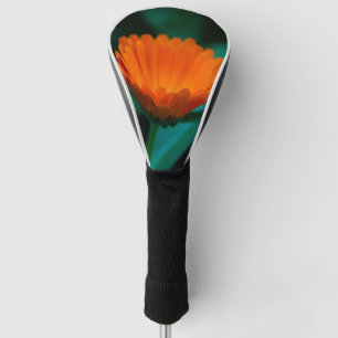 Couvre-club De Golf Fleur de marguerite orange