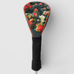 Couvre-club De Golf Fleurs florissantes colorées au soleil