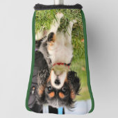 Couvre-club De Golf Grave (Tourné à 90°)