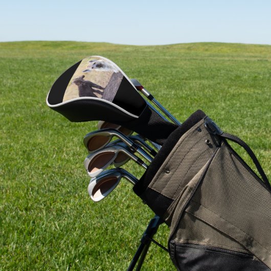 Couvre-club De Golf Hyène avec les jeunes un (In Situ)