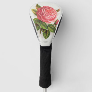 Couvre-club De Golf Illustration florale de rose rose antique Cottagec