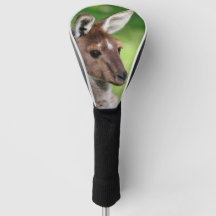 Joli Petit Kangourou