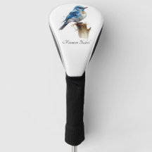 Jolie petite merlebleu des montagnes aquarelle, pe