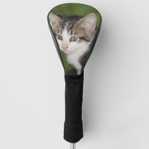 Couvre-club De Golf Kitten