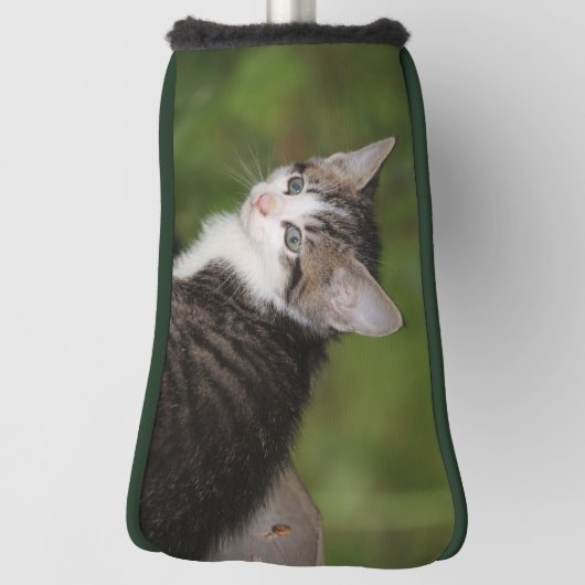 Couvre-club De Golf Kitten (Tourné à 90°)
