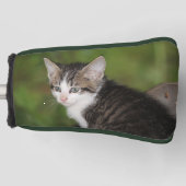 Couvre-club De Golf Kitten (Devant)