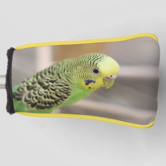 Couvre-club De Golf Kiwi (Devant)