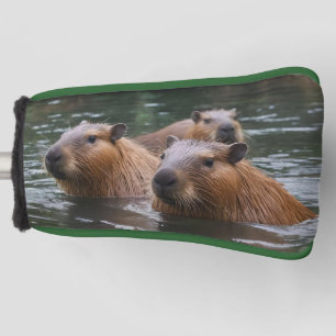 Couvre-club De Golf La Nage Des Capybaras Dans La Rivière,
