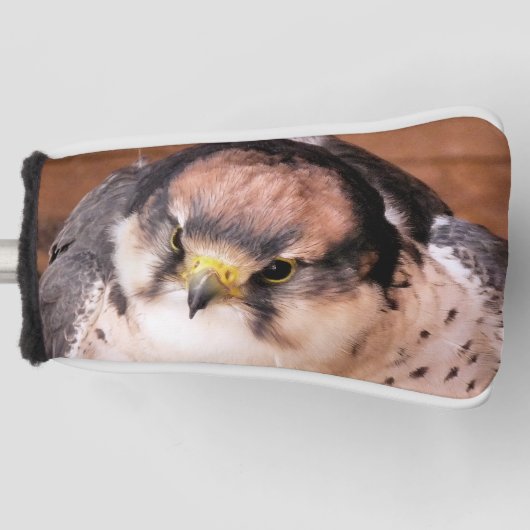 COUVRE-CLUB DE GOLF LANNER FALCON (Devant)