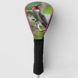 Couvre-club De Golf Le colibri d'Anna sur le prunier