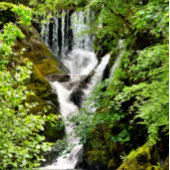 COUVRE-CLUB DE GOLF LES CHUTES D'EAU