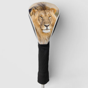 Couvre-club De Golf Lion africain majestueux photo d'animal sauvage