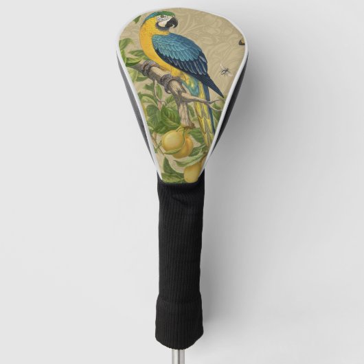 Couvre-club De Golf Macaw Blue Jaune Tropical Jungle Antique (Devant)