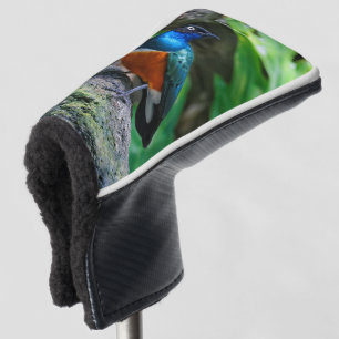 Couvre-club De Golf Magnifique Songbird Starling Colorée Africaine Sup