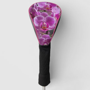 Couvre-club De Golf Mini Phalaenopsis Sogo Vivien Orchidée violet