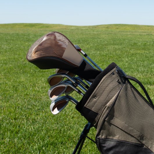 Couvre-club De Golf Nouvelle-Écosse_Duck_Tolling_Retriever (In Situ)