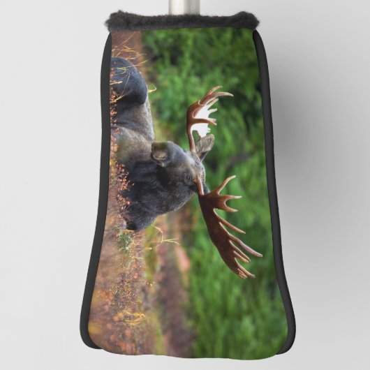 Couvre-club De Golf Oie (Tourné à 90°)